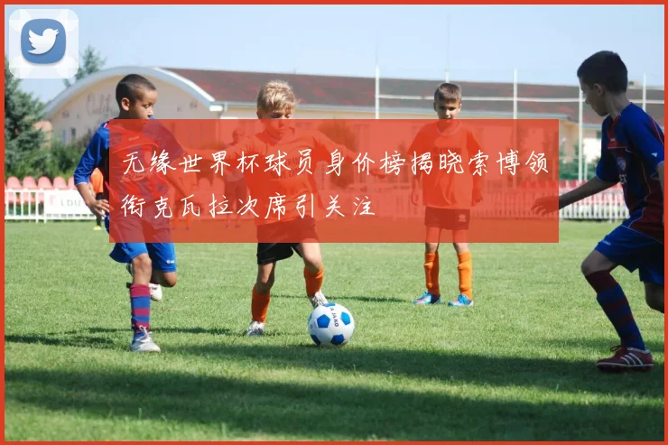 无缘世界杯球员身价榜揭晓索博领衔克瓦拉次席引关注